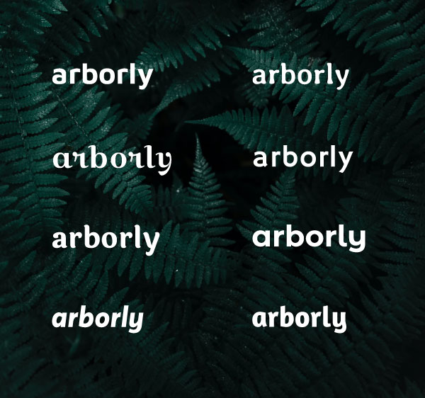 An image showing the word Arborly in multiple fonts, on top of a background of dark green leaves.